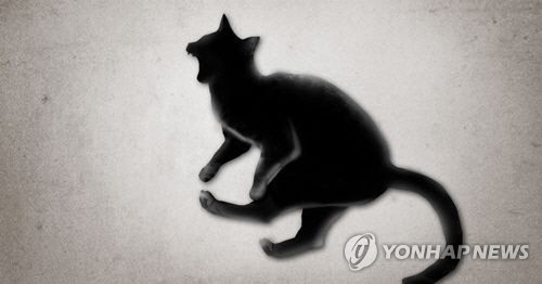 고양이를 산 채로? 엽기 학대영상물 게시…동물권단체, 경찰에 고발